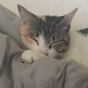 Meet your Posher, Tatiana